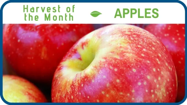 Apples October