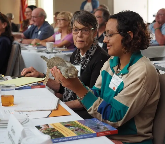 P9190726 - Copy - Copy