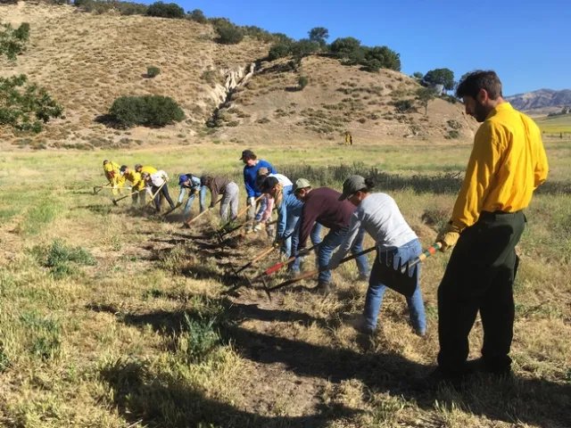 Participants using hand tools.