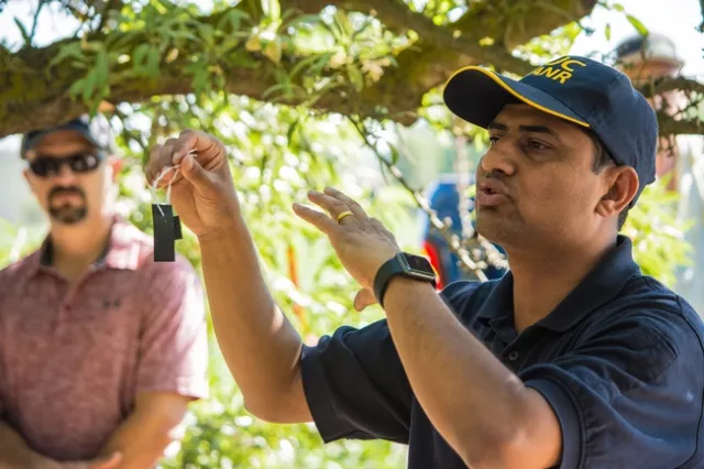 UC scientists help the ag industry face pest problems on their farms and ranches. (Photo: Michael Rosenblum)