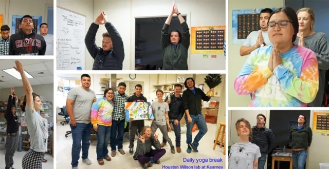 Members of the Houston Wilson lab at the UC Kearney Agricultural Research and Extension practice yoga.