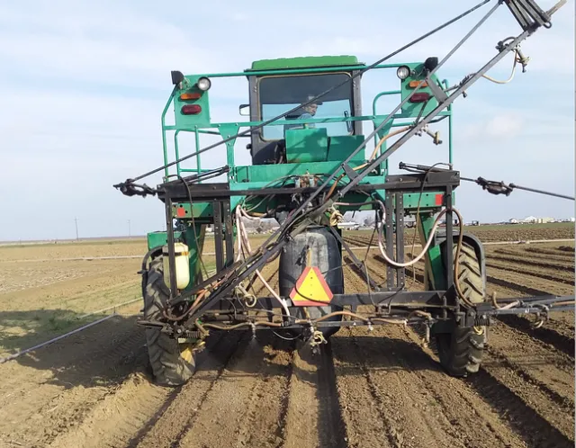 Weed control in garbanzo production, West Side REC 2020.