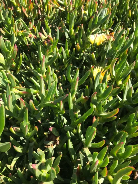 Photo by Andrea Giacoletti