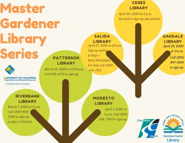 Library series graphic jpeg