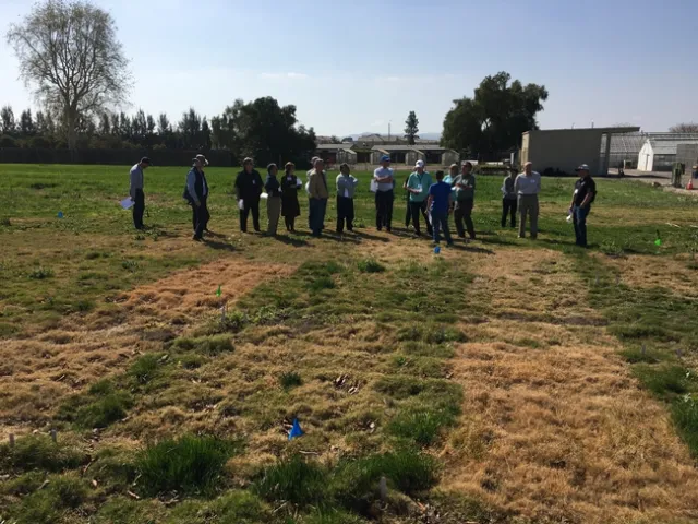 Cheryl shares her herbicide work with the UC ANR Governing Council. Photo courtesy of David Lewis.