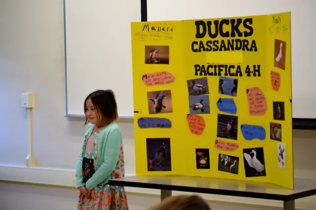 2020_Cassandra_Pacifica4H_edit