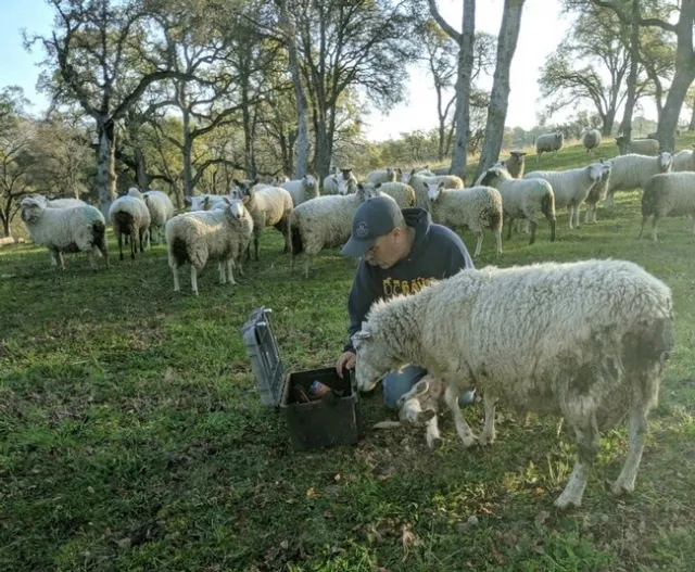 Photo credit: Kaleiah Schiller