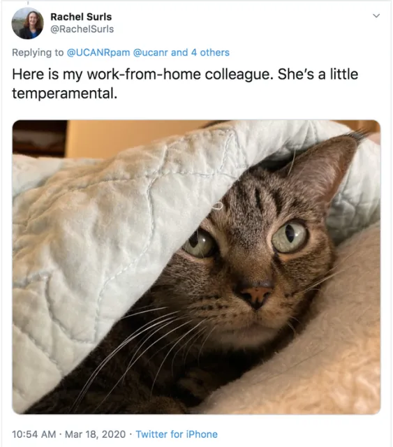 Rachel Surls' urban ag partner demonstrates self-isolation.