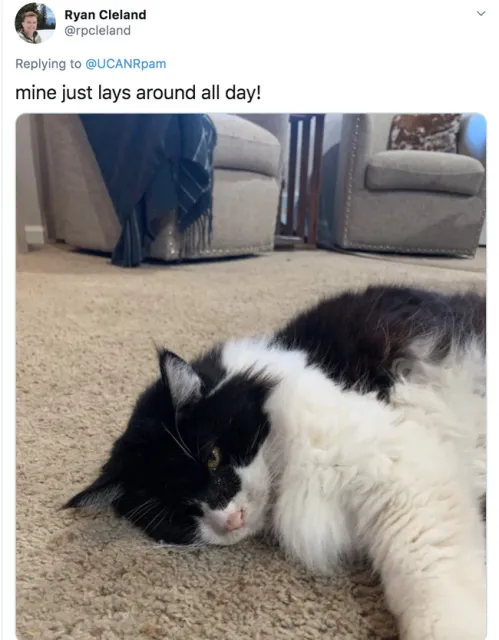 Ryan Cleland's office mate shows him how to stretch.