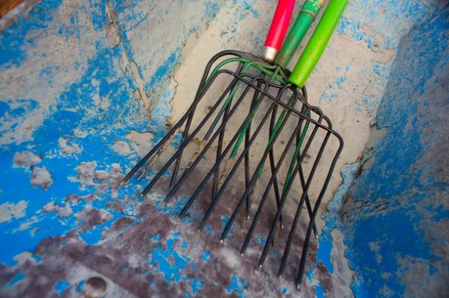 3 pitchforks sitting together. 2 green and one red.