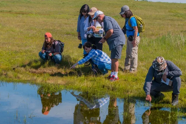 California Naturalists exploring a vernal pool