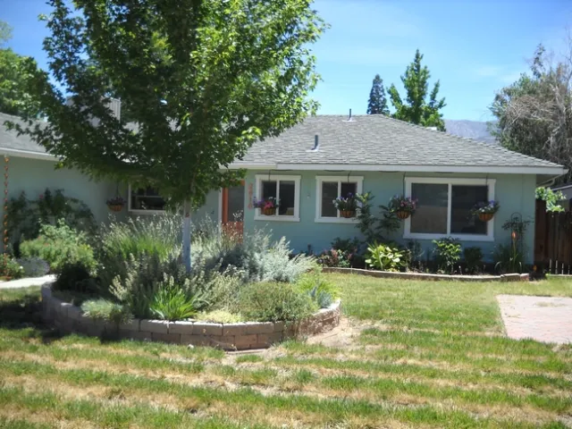 Striped lawn July 2018