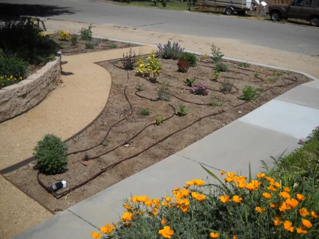 Irrigation layout for one of the plots
