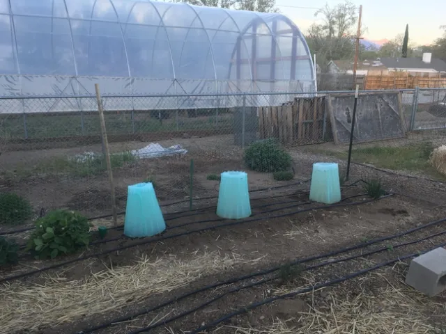 Walls of Water in action