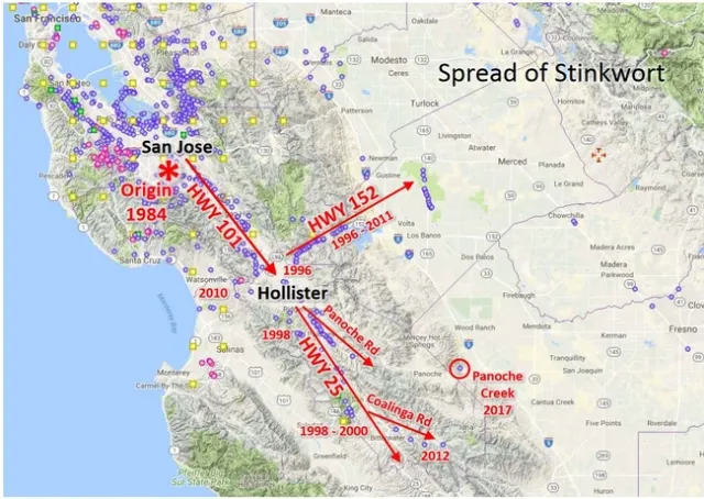 Map from Calflora. Arrows and road names added by Ryan O'Dell.