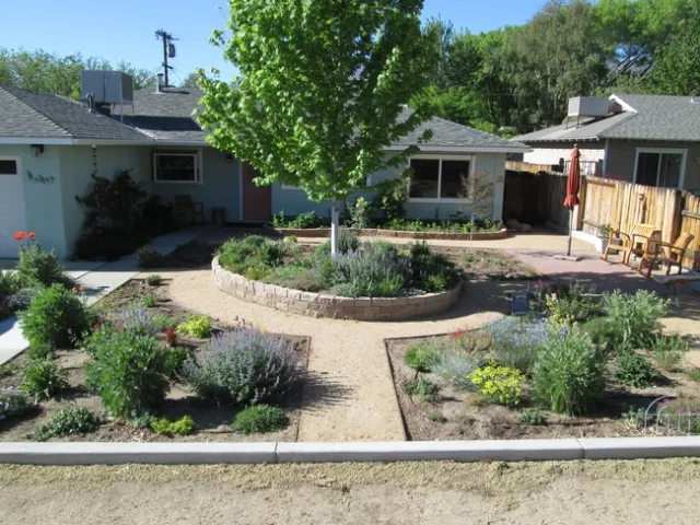 Much more curb appeal than a dried-up lawn.