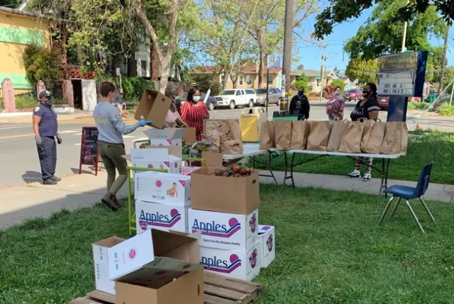 CalFresh Healthy Living, UC staff gives away tomato and basil seedlings to Oakland parents picking up food for their children at Sankofa Academy. The plants were donated by UC Master Gardener Program in Contra Costa County.