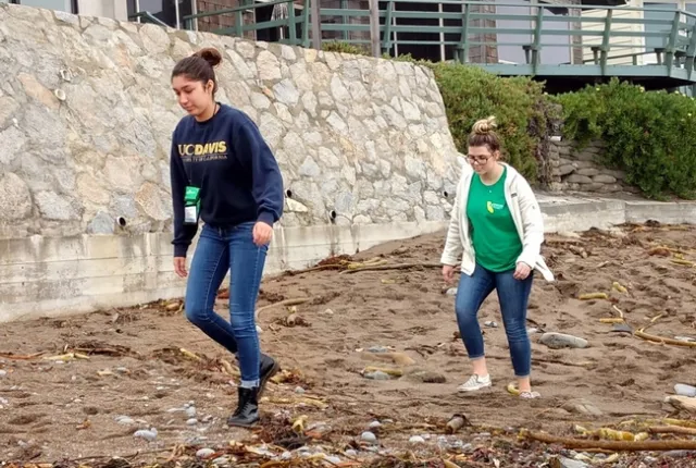 4-Hers take a walk along the shore during a mindfulness retreat.