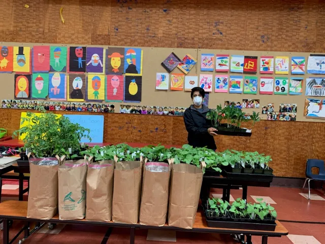 Pescadero Plant Distribution 2