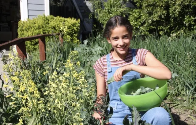 As part of a parental assignment, 11-year-old Molly Nansen calculated