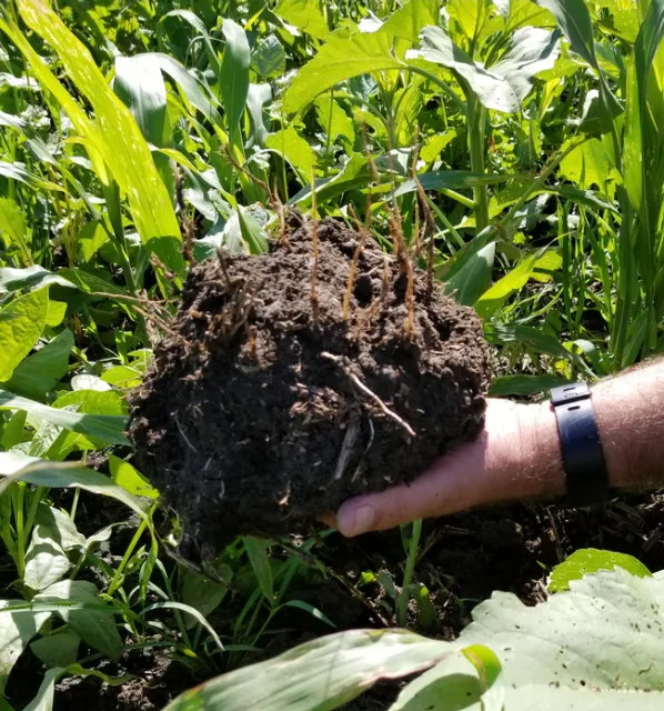 Frank Fernandes and soil structure. Photo by Shulamit Shroder.