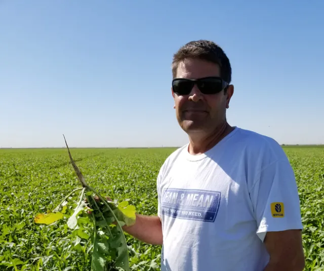 Frank Fernandes and tillage radish. Photo by Shulamit Shroder