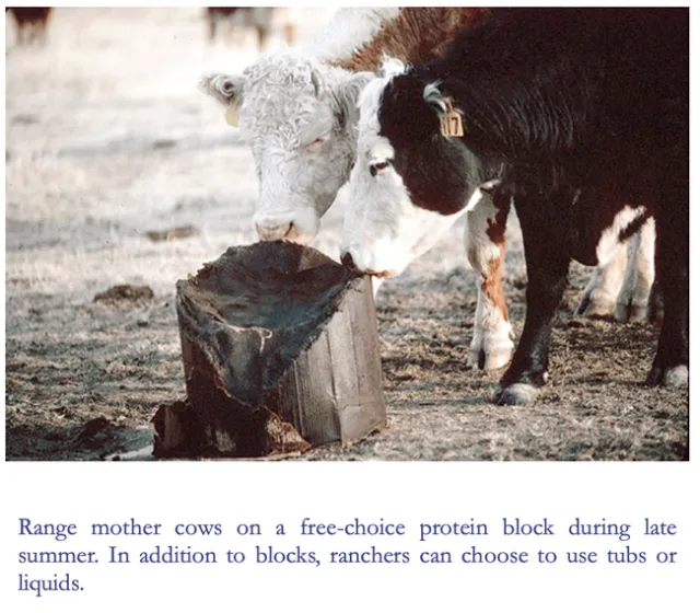 Screen Shot 2020-06-25 at 10.48.42 PM