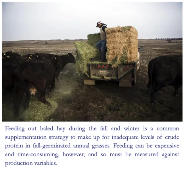 Screen Shot 2020-06-25 at 10.48.31 PM