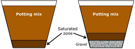 Two pots with potting mix; one shows a saturated zone below the mix, and the other has gravel beneath the mix, illustrating drainage concepts.