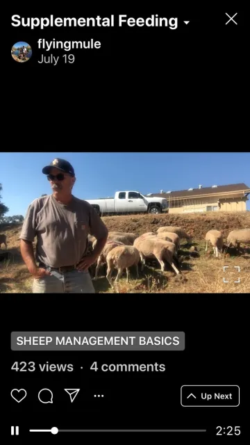 IGTV screenshot