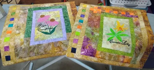 Pillow covers to match