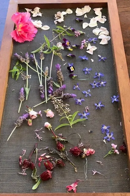 Tray Fresh Flowers(2)