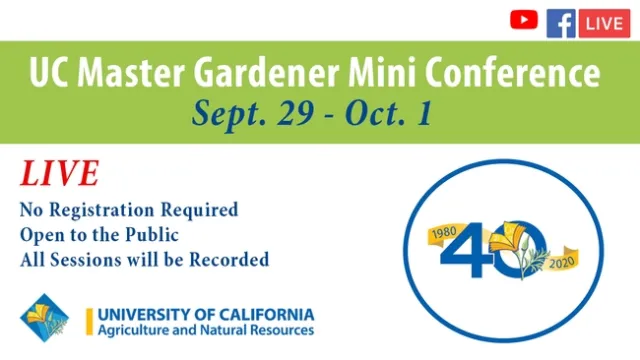 Title Slide Mini Conf