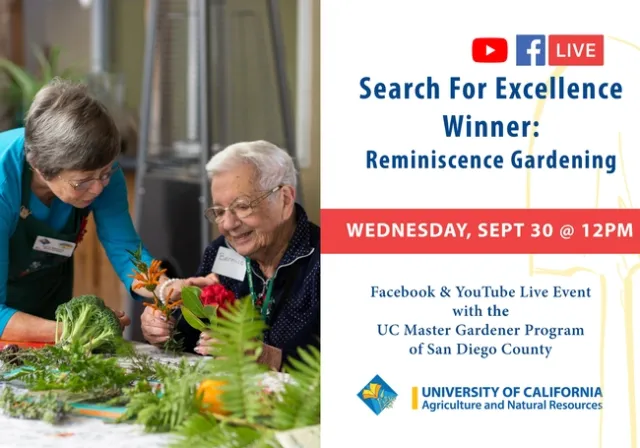 SFE San Diego Live ART