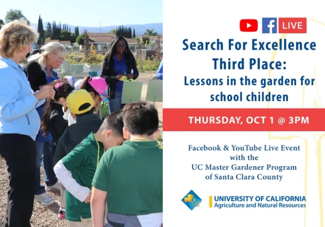 SFE Santa Clara Live ART