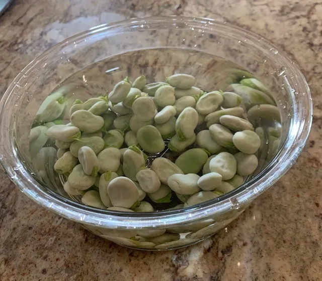 Skinning the Bean Warm Water Bowl