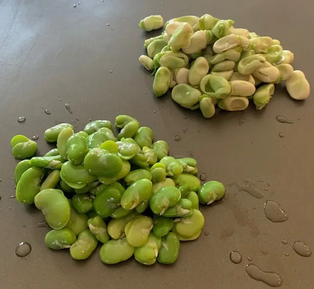 Skinned Beans Ready to eat