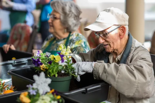 RG.4 tabletop planting