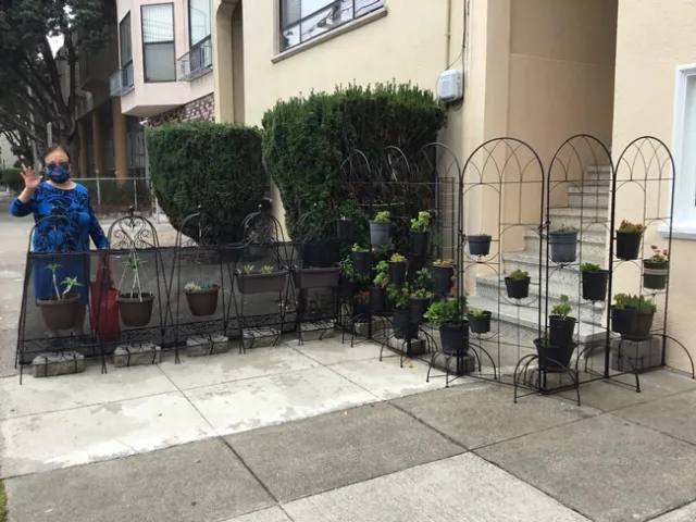 photos by Tina Saravia