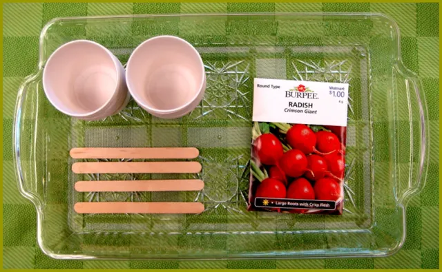 Ugly Vegetables Website Photo2