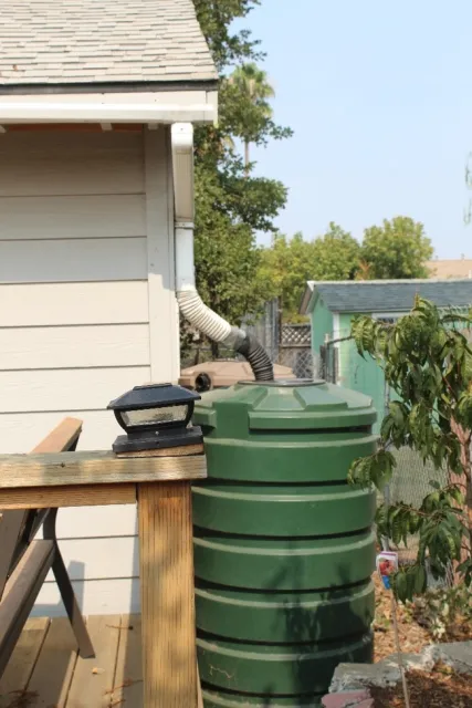 photos by Brenda Altman