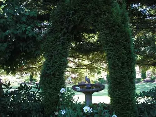 Birdbath tucked into a natural arbor at Maple Rock Gardens in Newcastle, CA, Laura Lukes
