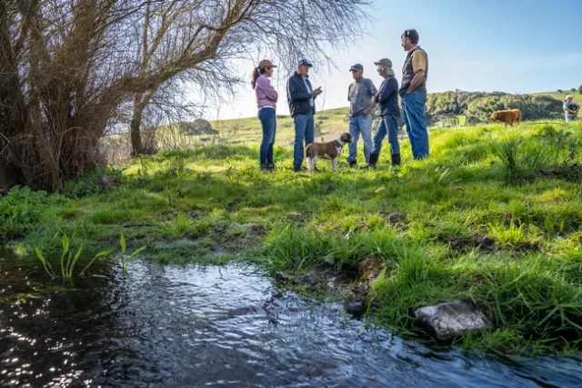 Photo by: Hector Joel Amezcua, UC CAES