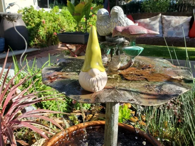 Ruth Bancroft Garden Gnome - photo by Paula Pashby