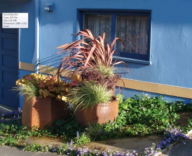 Unified contrast, Eve Werner