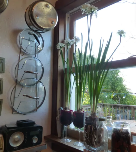 photos by Sally Thompson