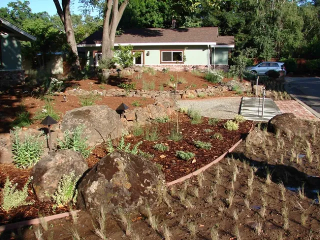 New plants are installed, Eve Werner