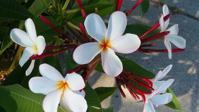 Photo by Polly Nelson