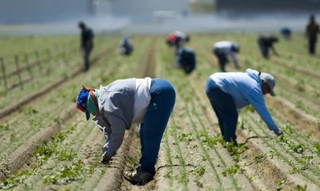 FARMWORKERS
