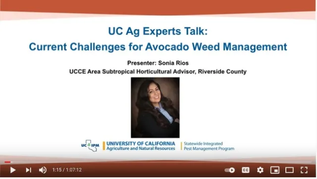 Current Challenges for Avocado Weed Management talk by Sonia Rios